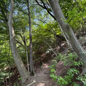 こーいぅーところは、小走りしたくなるー🏃‍➡️
