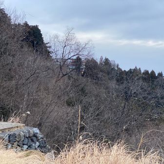 長尾平のヘリポートまで戻ってきました。
分かりづらいけど、中央の木の枝の向こうに集落の明かりが見える。
今朝の朝食は何かなー？
腹が、減った。