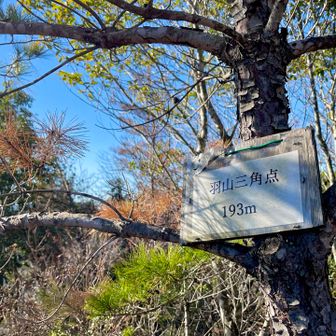 1200座達成です。