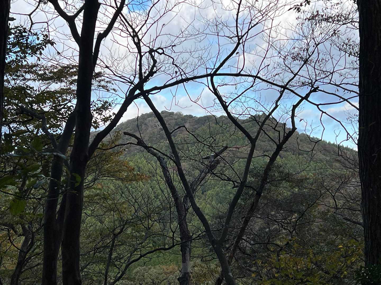 だいぶ下って、頂上が確認できました。