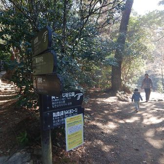 ロープウェイ乗り場分岐まで下りてきました