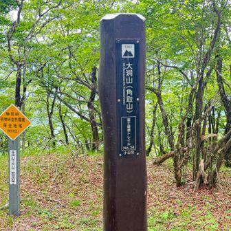 大洞山着いた、ここも眺望無し