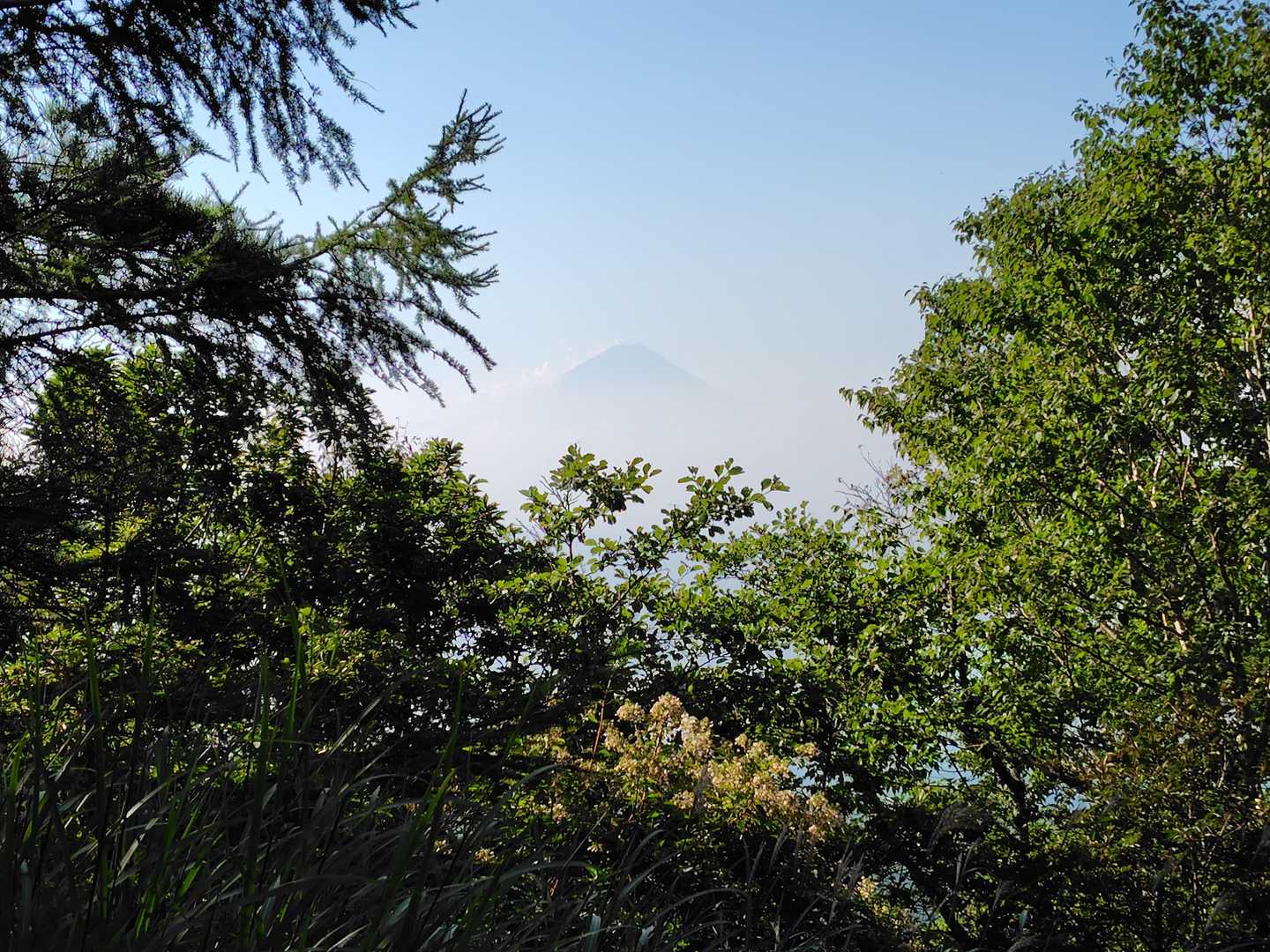 …代わりに富士山見えました