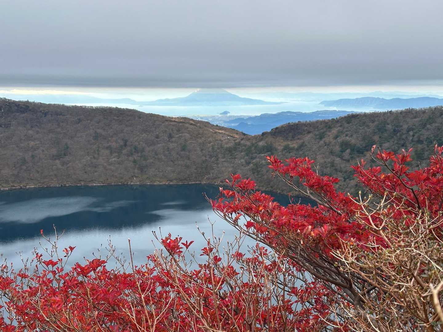 今日1の紅だね！