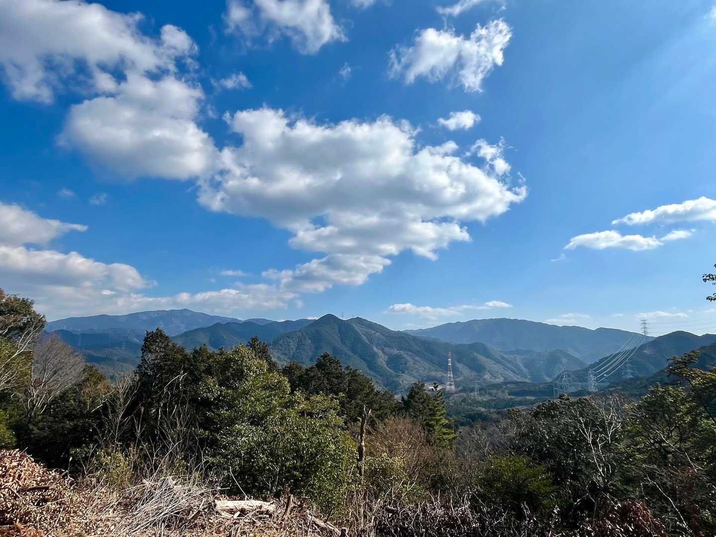 お天気も良く気持ち良いです✨😊