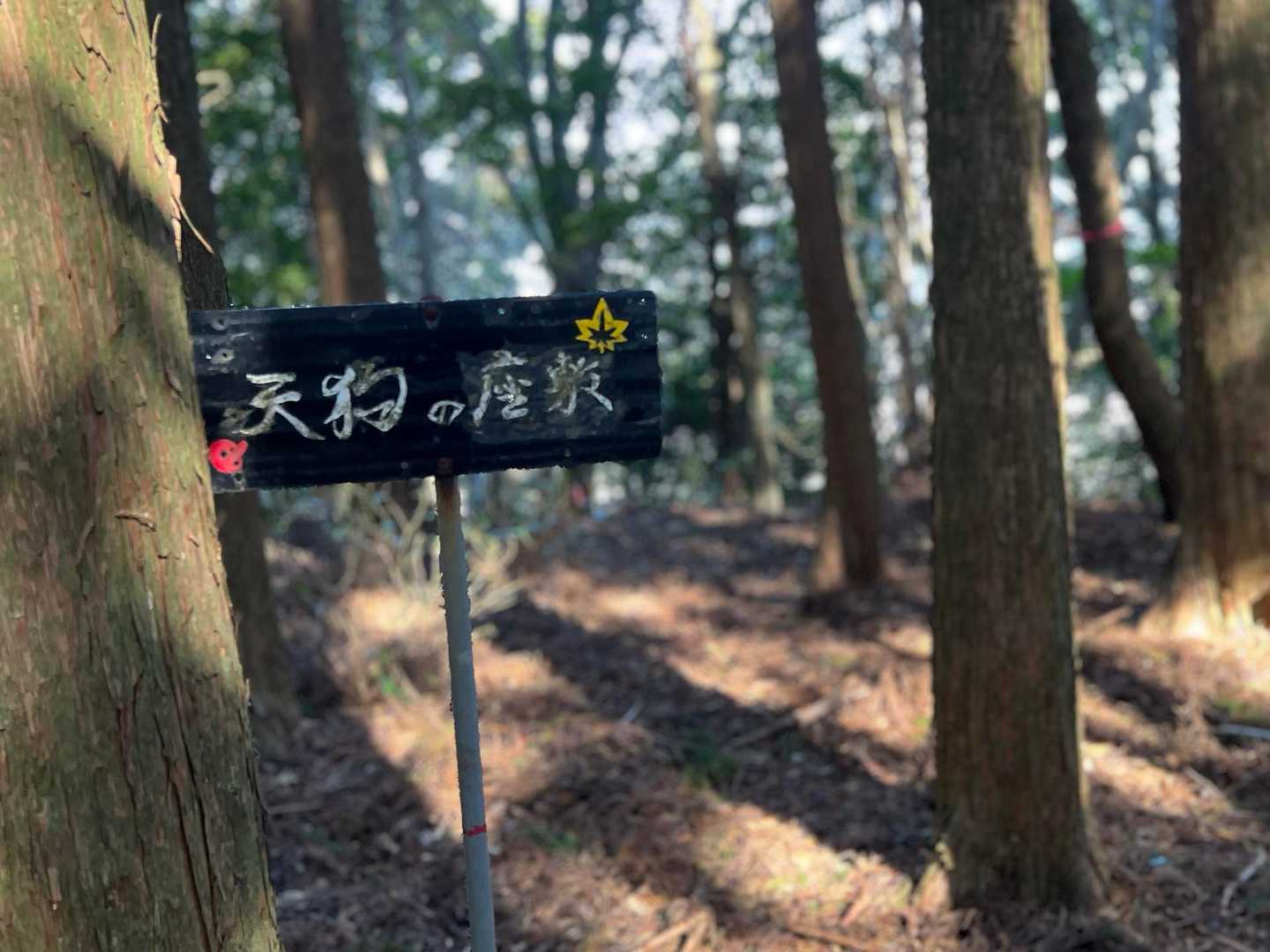 八高山山頂を後にして天狗の座敷
眺望はありません
