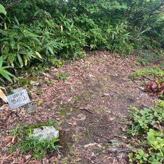 菊石山。
アンモナイトの化石が見つかったのでこの名前になったとのこと。