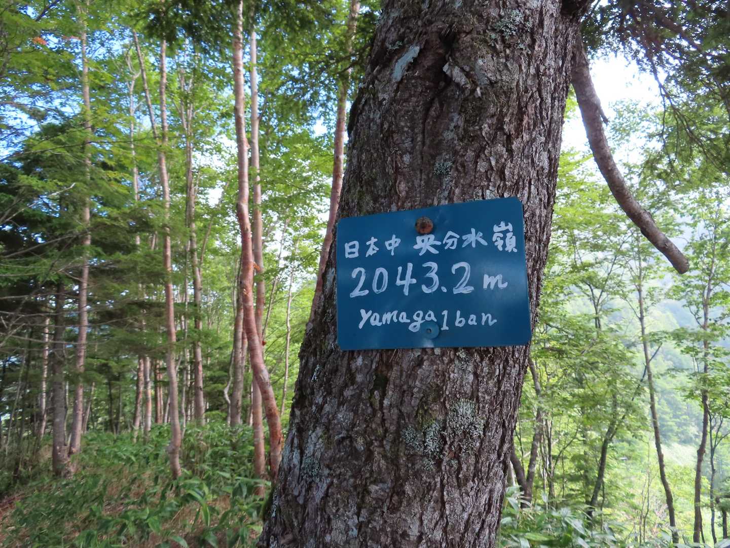 日本中央分水嶺　2043.2ｍ

ここで日本海側と太平洋側に分かれる分水嶺の連続線