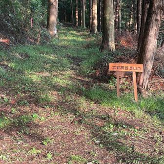 大谷橋西ルート登山口