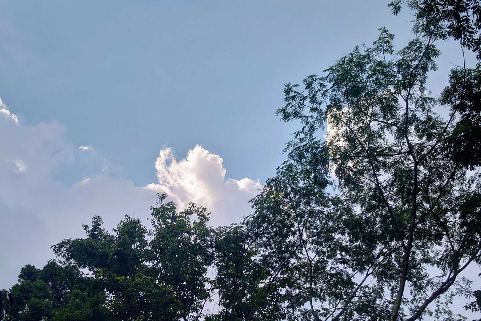 晴れてきた