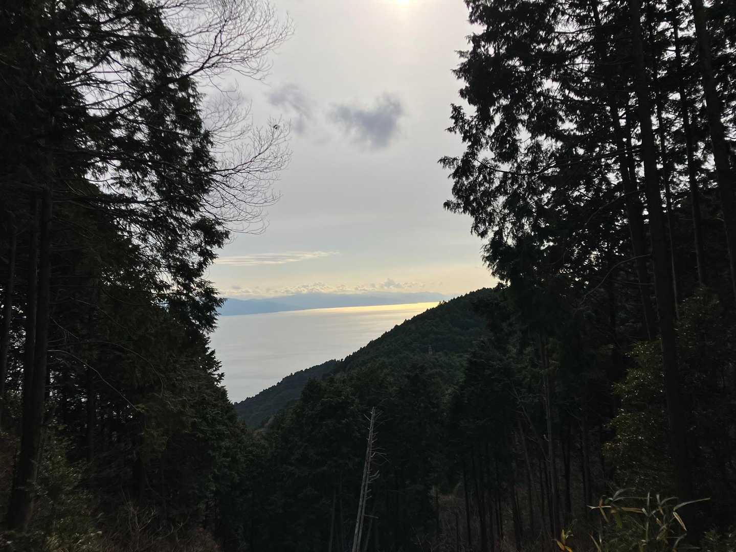 駿河湾と伊豆半島