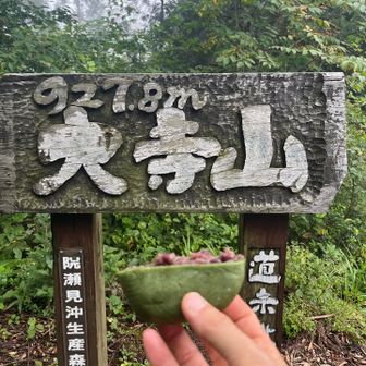 大きいので半分だけ頂きます。