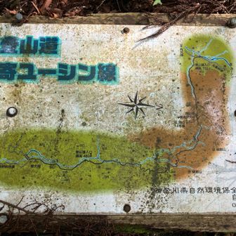 倒れていた地図