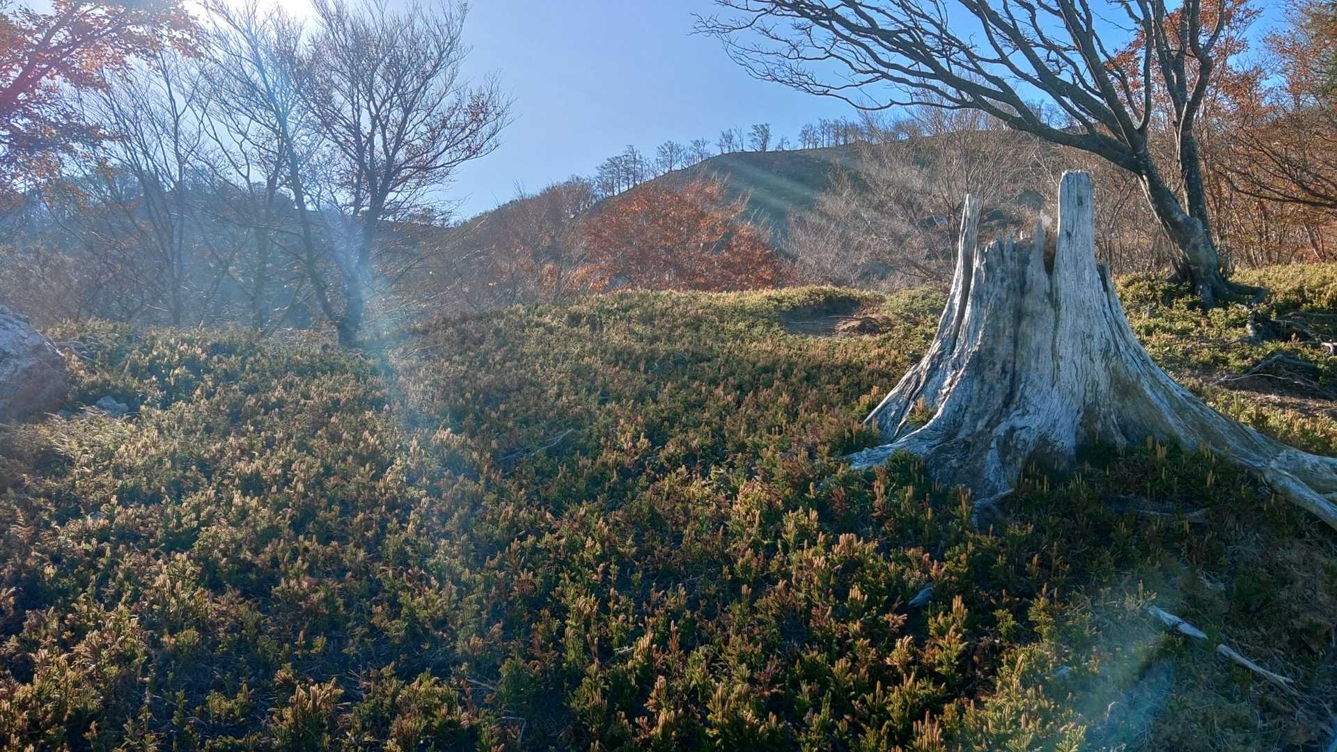 直登は辛いけど
景色がいいと気持ちいい