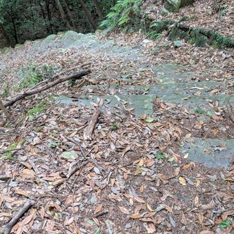 帰りは当然激登り😨参道ルートの、急な階段道。荷持デボしてきたけど…それでも辛い🥵