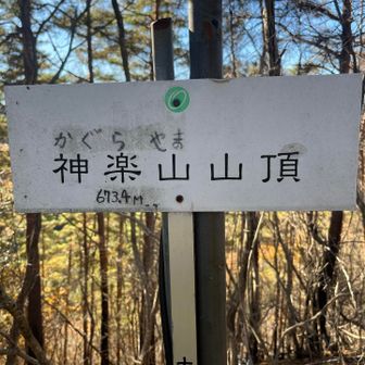 神楽山の中腹の谷間付近で、不安そうに彷徨う道迷いハイカーさんを発見😳

登山道が落ち葉に埋もれ方向を見失ったとのこと。その人は見るからに体力の無い系ハイカーで、山に入るのは実に5年ぶりらしい…

その人の歩き方を見ていてちょっと危なっかしいと思ったので、神楽山山頂まで道迷いハイカーさんをアテンド😅というか、わたしも初めて登る山なんだけど😅標高グラフのペースがガクンと落ちている区間がアテンド中です…

とは言え、普段わたしはソロオンリーなんで、たまには人をアテンドするのも良い経験となった。

そして、ここから先のトレイルは地図を見る限り尾根一本道で、落ち葉も風に飛ばされて登山道もしっかりと視認できたので、ここから先はもう大丈夫だろうと判断し、道迷いハイカーさんとは神楽山山頂で別れた。

それにしても、神楽山は低山とは言え、そこまで整備されていないし落ち葉に覆われた急登もあるし足場の悪い岩場もある。菊花山サイドには両サイドが切れ落ちた痩せ尾根や鎖場もある…わたし個人的には、5年ぶりで体力に自身の無い人が登る山ではないような気がする😅