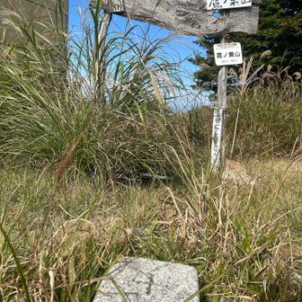 登りやすくて、あっという間に山頂🙌
里山キングパート3の山なので、
里キン用の写真も撮りました🤳