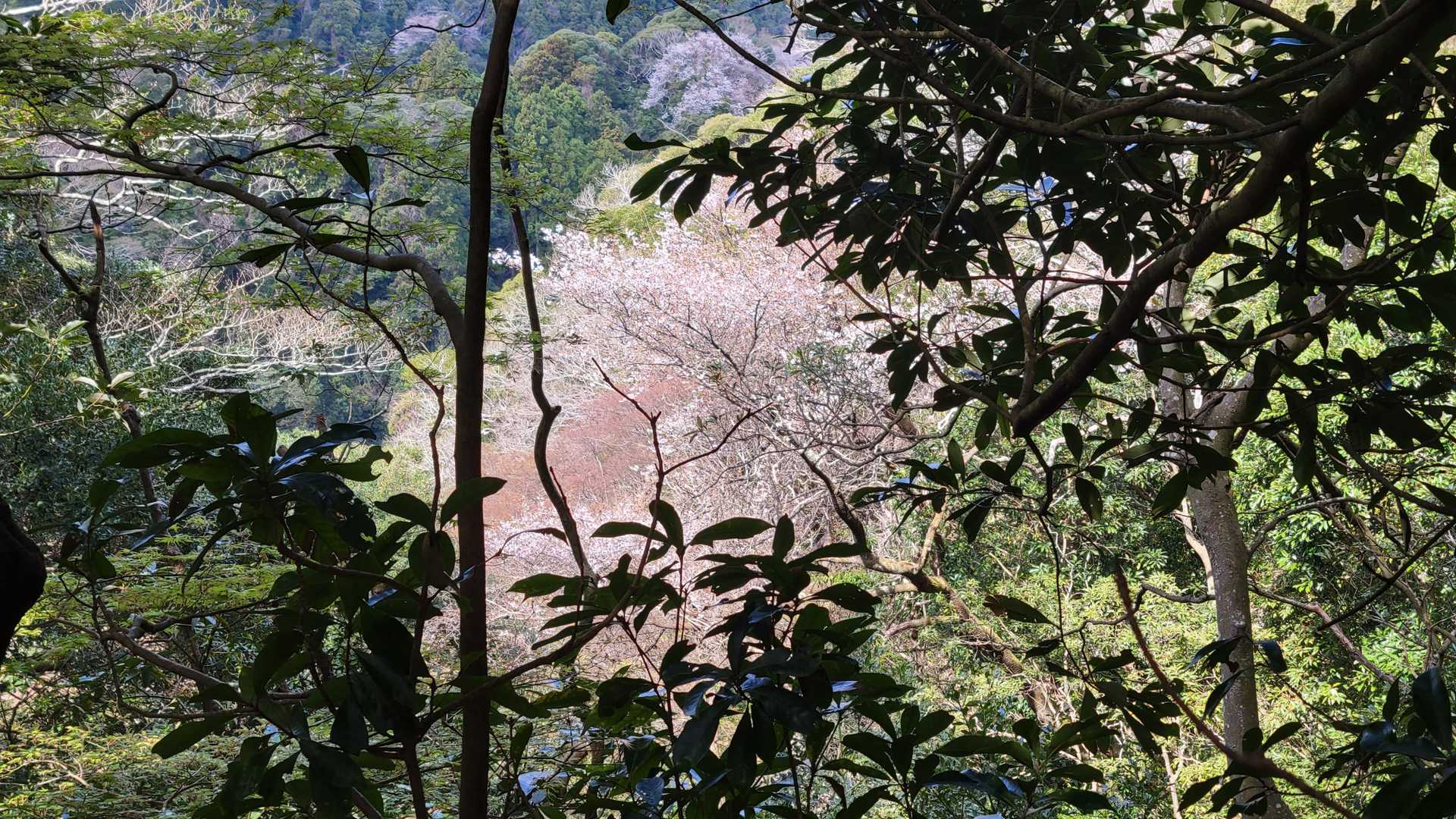 宝篋塔山-鷹取山-御殿山 周回コースの写真