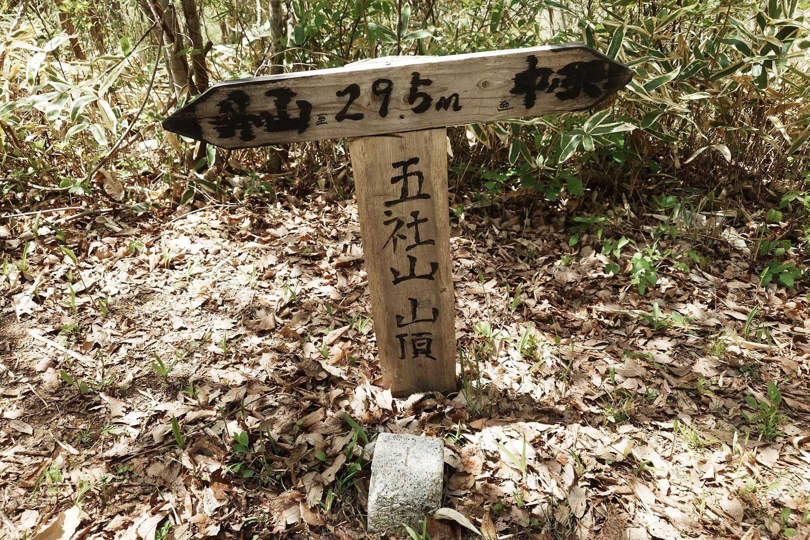 五社山　山頂
眺望なし。感動も…