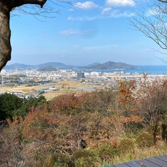 アラァ、見晴らしいいです。🤗