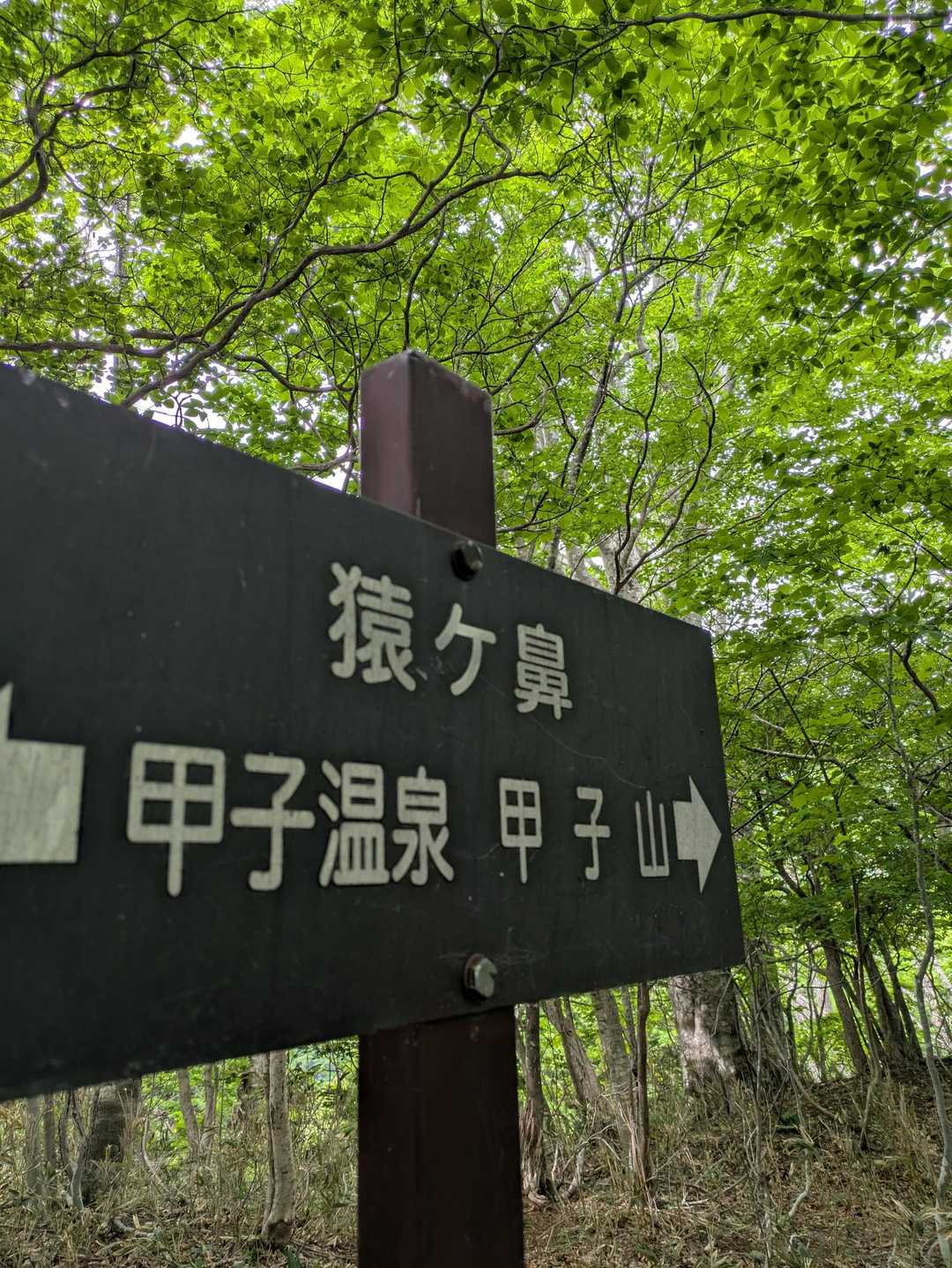噂の通り、九十九折の登山道を登り、もう飽きたんですけど。。。もうショートカットしたいんですけど。。。って思った頃に到着しました。
