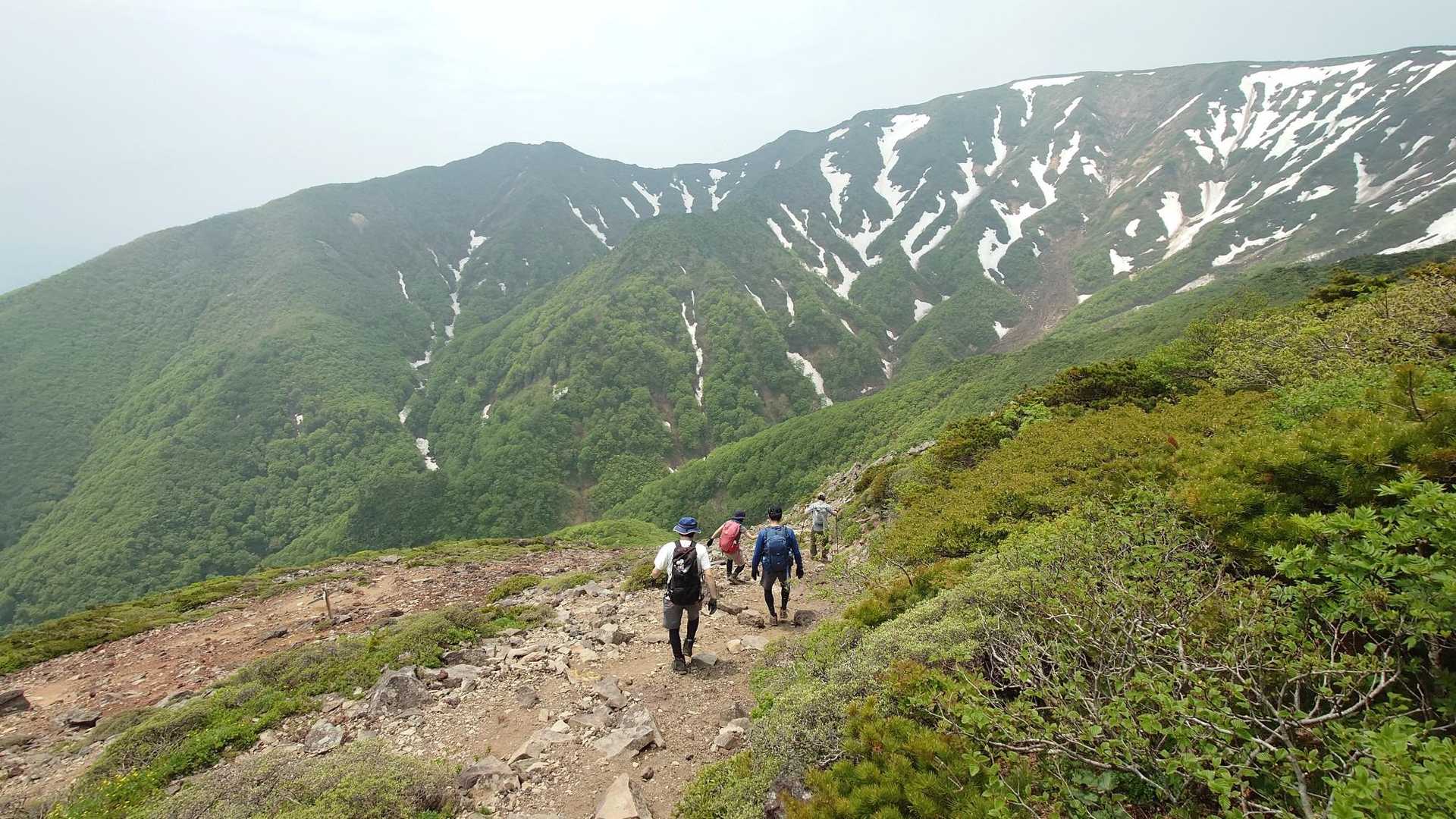 こちらの四人組
早い早い！
ついて行くのがやっとでした😅
登山の他に、マラソンやトレランもやってらっしゃる方々だそうです。
早いわけだわ😅