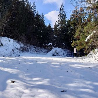 通行止めになっている夏場の車道