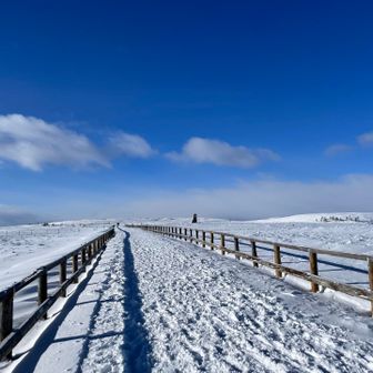 雪上車走ると耕される
