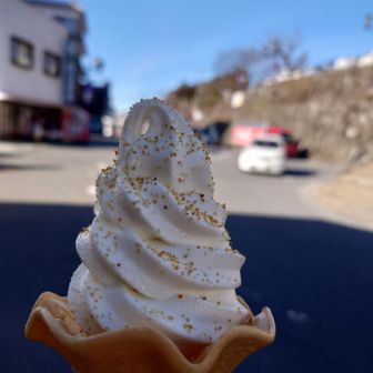 福来みかん🍊パウダーかけのソフトクリーム
去年もいただきましたが、美味しいですよ～