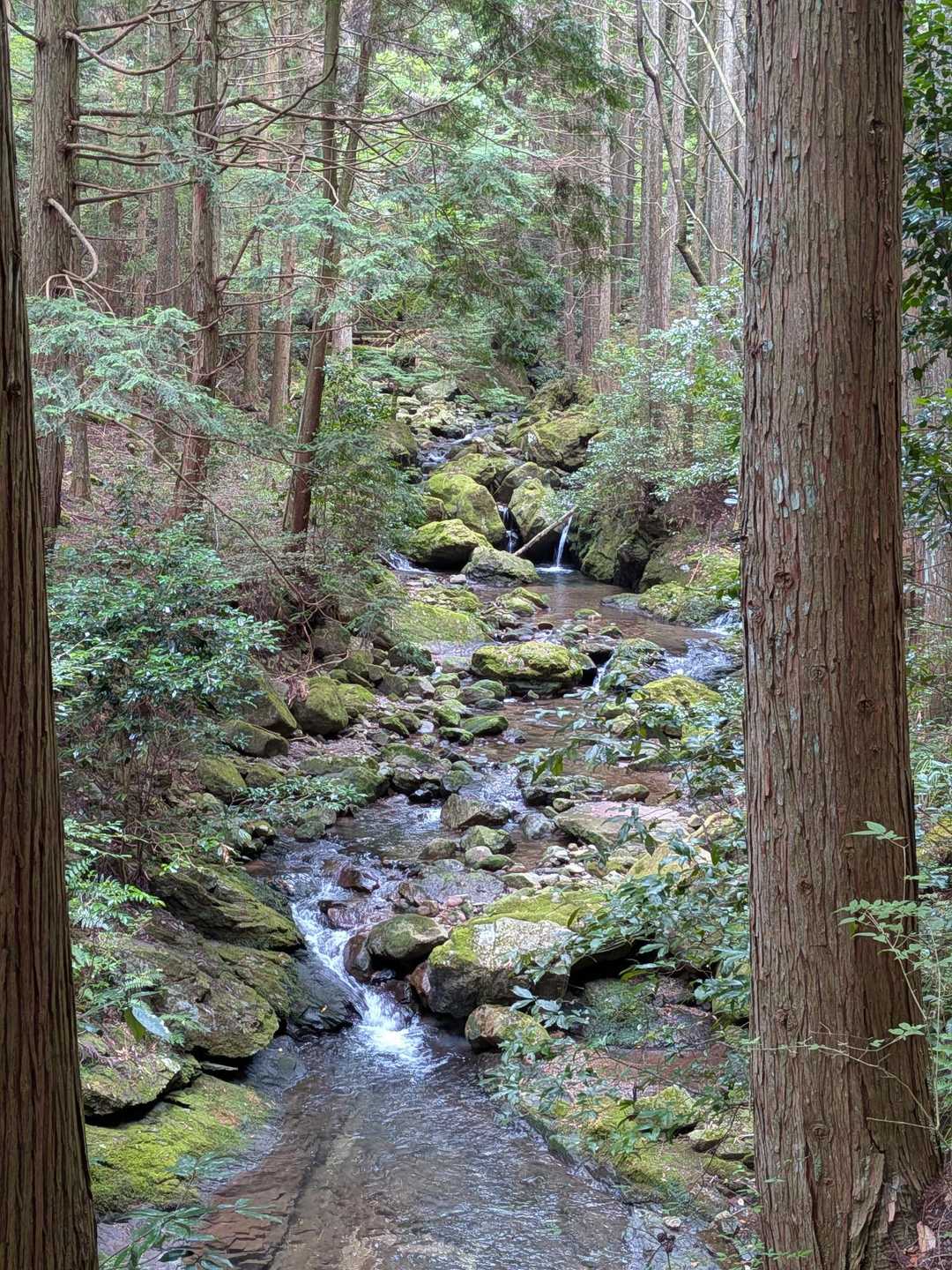 水の音が気持ちいい。