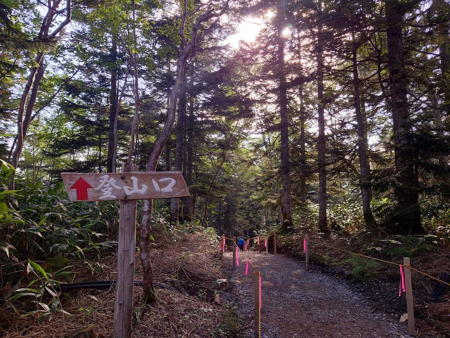 この先が登山口