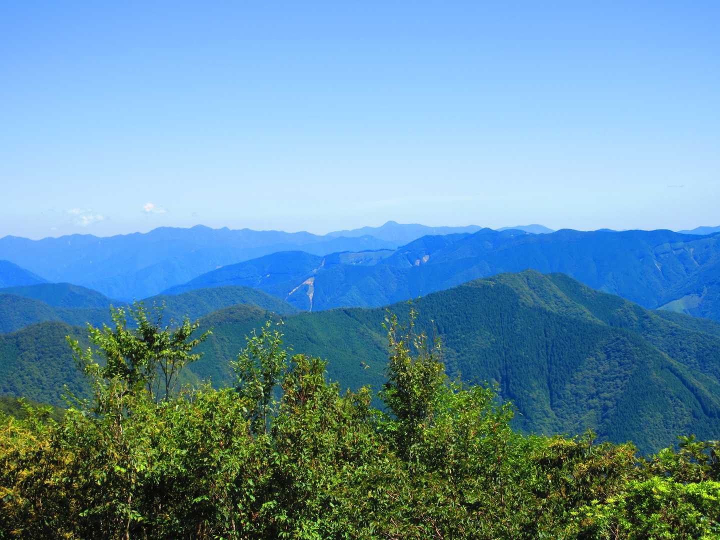口千丈岳登山口-口千丈山-焼山ノ太尾ノ頭 往復コースの写真