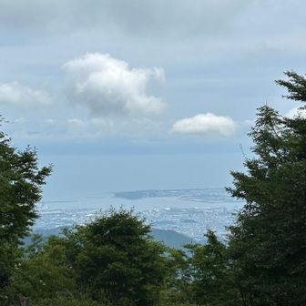 駿河湾