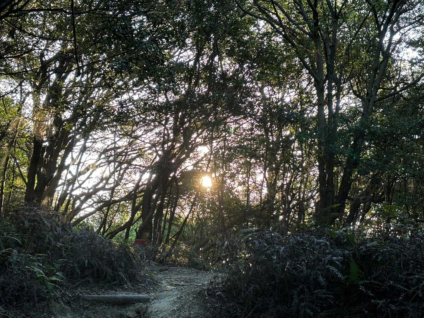 眩しい✨✨
