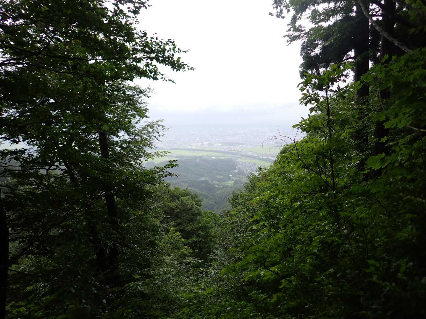 隙間から景色が見えました。