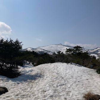 めっちゃ晴れたやん。