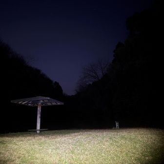 無事戻れました