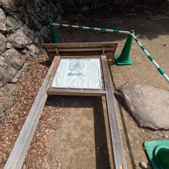 案内板はブッ倒れてます🥲