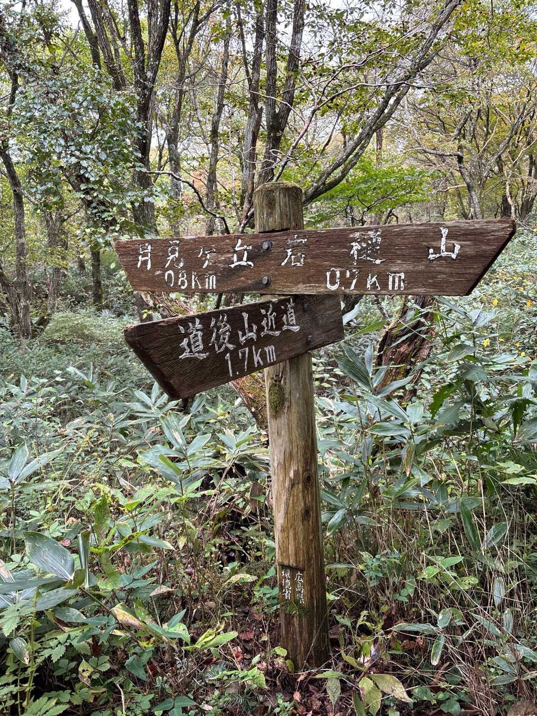 小オバ様は、「えんよ、えんよ、座っときんさい」とな。優しい〜
勿論私はシャッキっと…🫡（笑）