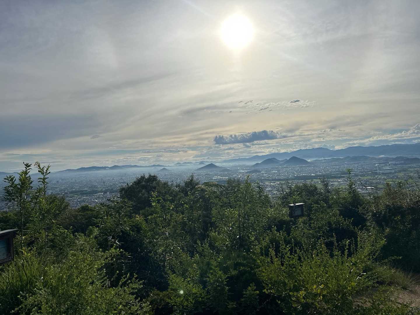 堂山登山道入口-堂山 往復コースの写真