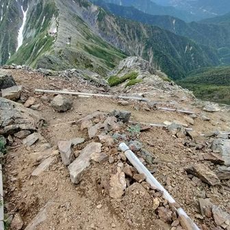 北岳草❀を探しにキタダケ(⁠ ⁠ꈍ⁠ᴗ⁠ꈍ⁠) 2024-6-22 / まき∞の登山