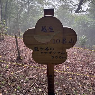 10名山
