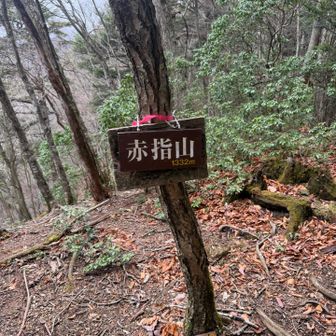 赤指尾根の赤指山⛰️