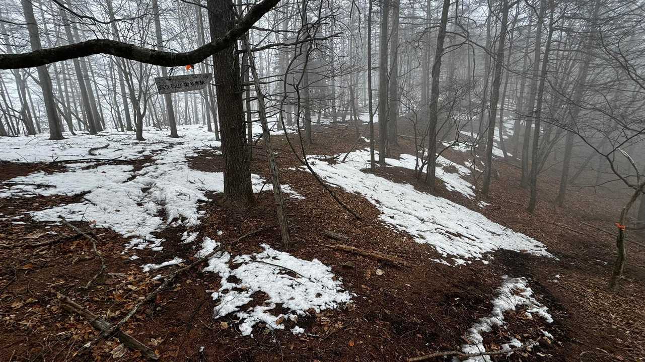 奥多摩、石尾根テン泊縦走（鴨沢〜七ツ石山〜鷹ノ巣山〜六ツ石山〜奥多摩駅） の写真 84