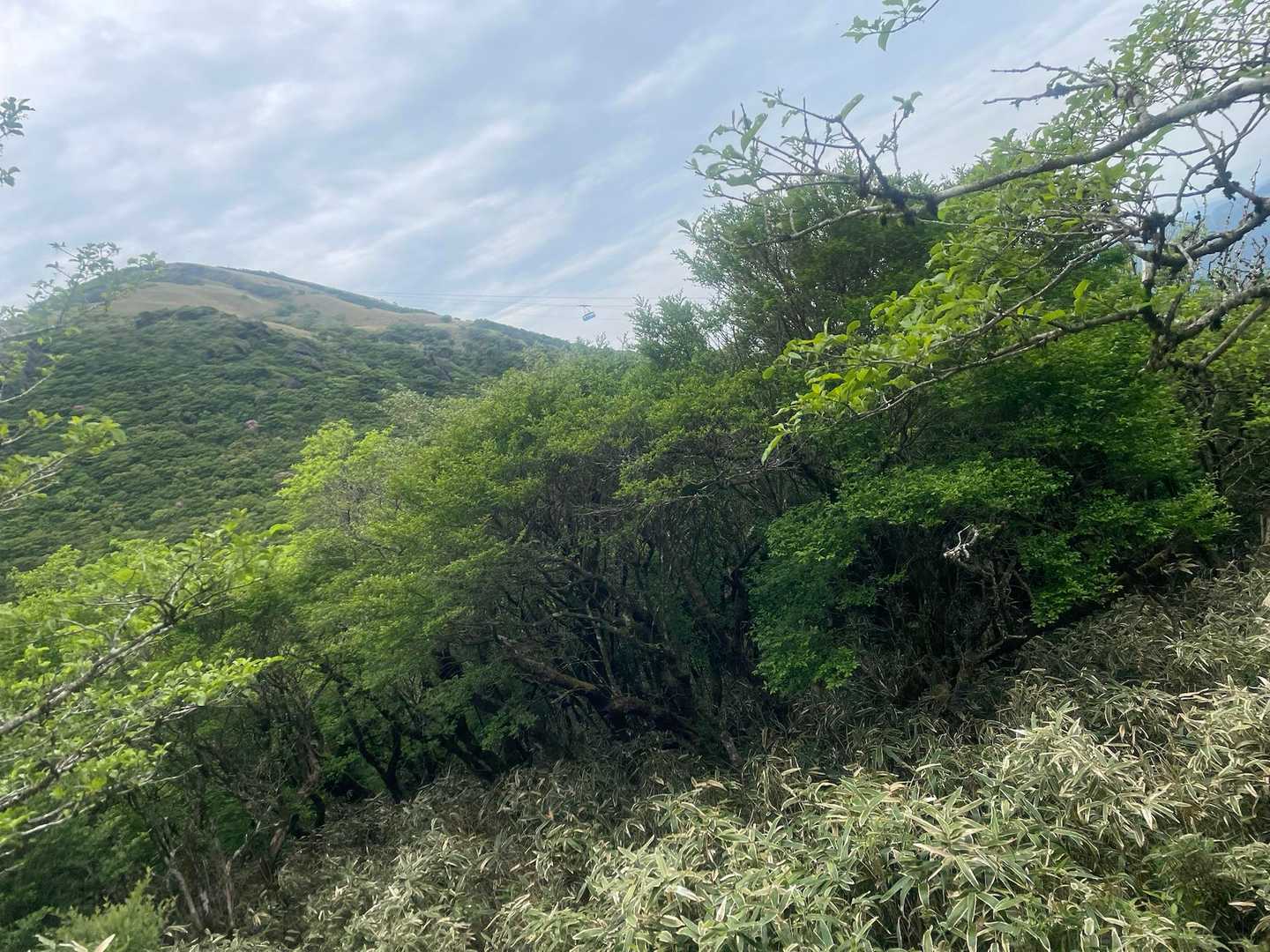 駒ヶ岳見えてきたー
