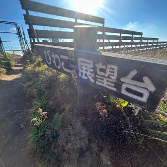 行ってみよう