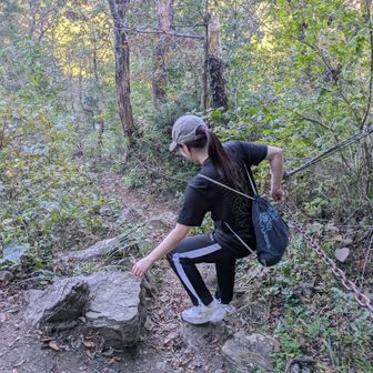 娘は下山で尻もちついたが、小さい頃に登山してたのでヘーキらしい
オイラは２年前はここを登ったけど、まあ、登りも下りも行けるでしょ