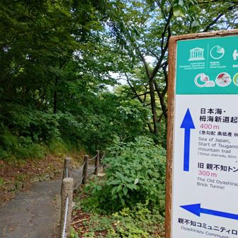 海岸が栂海新道起点なので降りないとね🤗車に荷物置いて空身で降りる