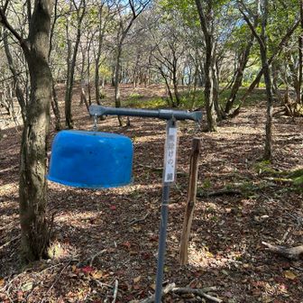 小原道のとは少し違う熊鐘