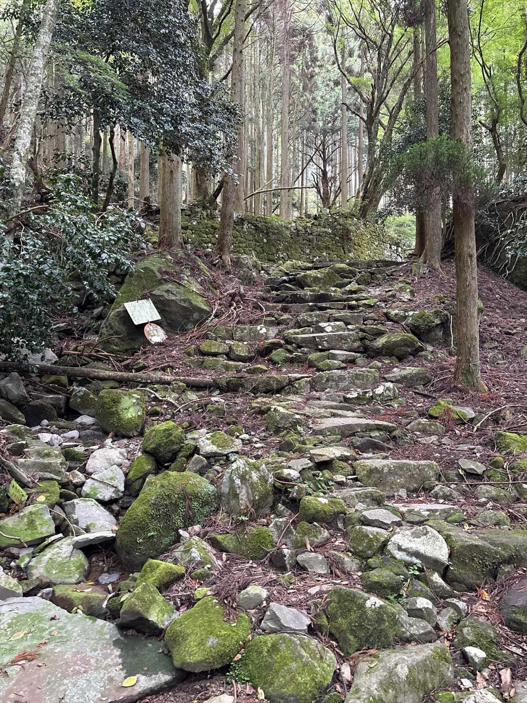 別所登山口-奉幣殿 往復コースの写真